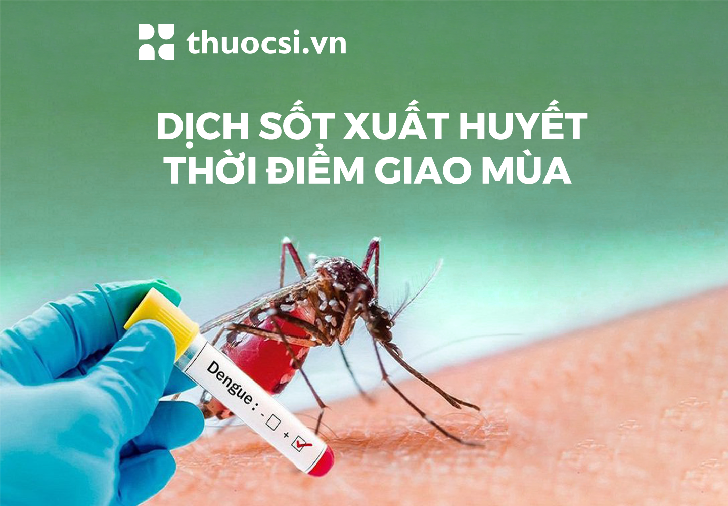 Bệnh sốt xuất huyết thời điểm giao mùa